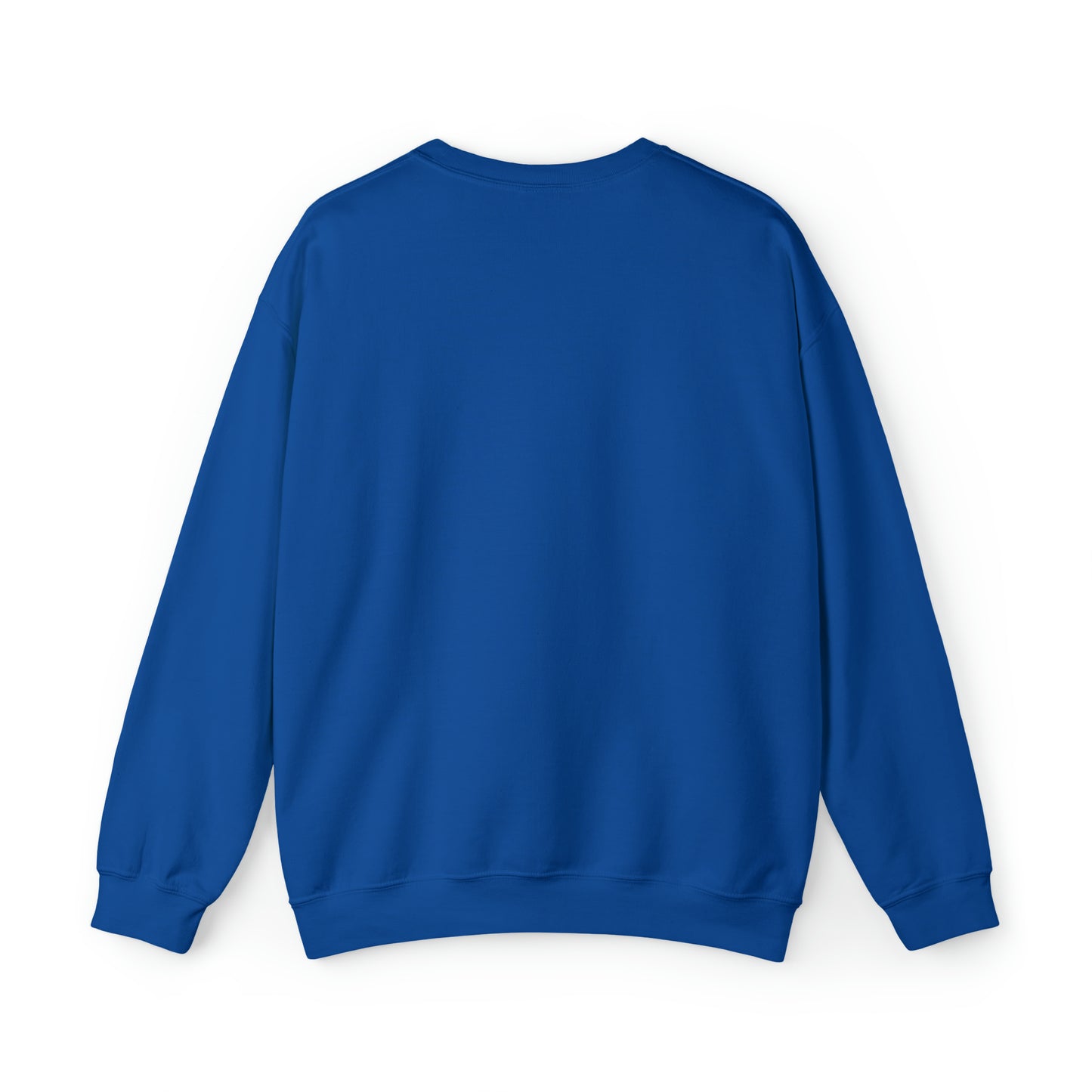 ADULT KID AT PLAY SWEATSHIRT