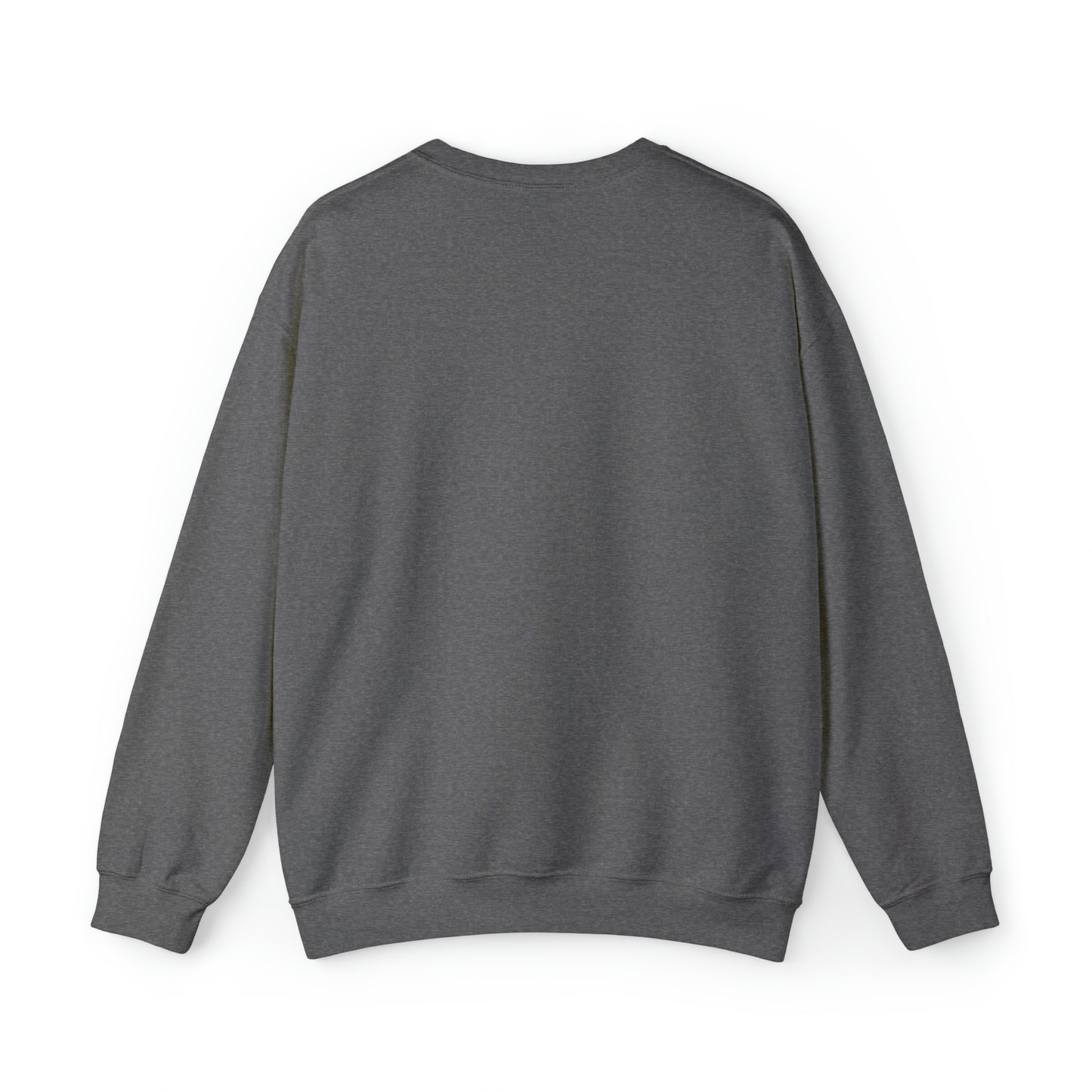 ADULT KID AT PLAY SWEATSHIRT
